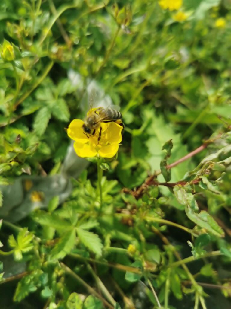 Zdrowie zaczyna się także w codzienności